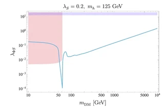 Values of the Higgs portal coupling that give the correct relic abundance as a function of the DM mass.
