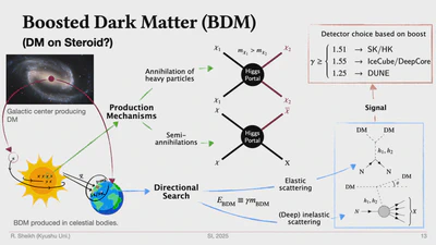 Searching for ways to probe pseudo-Nambu-Goldstone-boson Dark Matter featured image